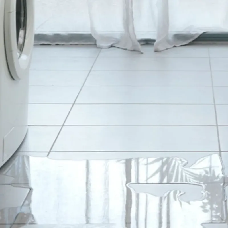 Appliance Leak Cleanup in Adel, GA