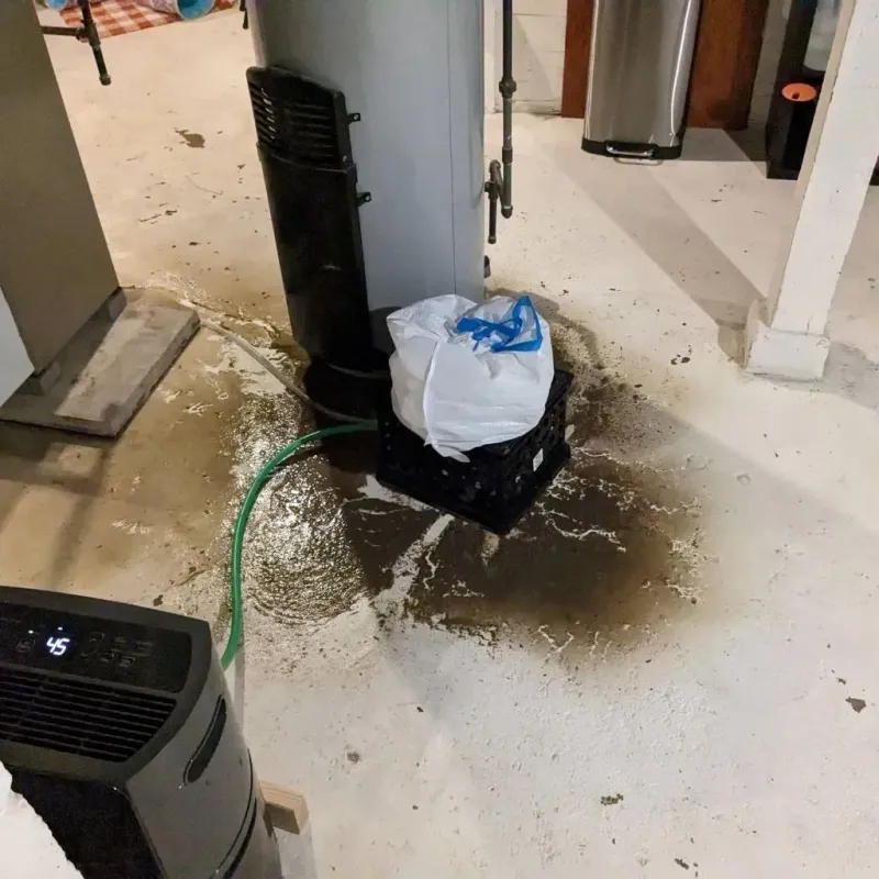 Sewage Backup Cleanup Service in Adel, GA